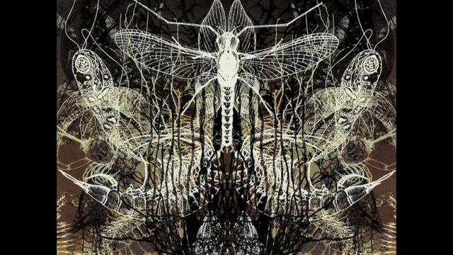 Architects - Save Me