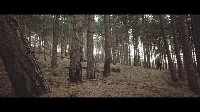 LEAGUE OF LIGHTS - Persephone смотреть онлайн