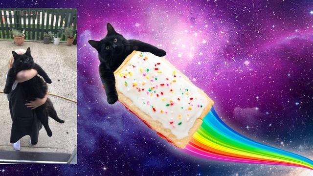 The Best Photoshop Trolls Ever / Funny Compilation #4 / 1 hour смотреть онлайн