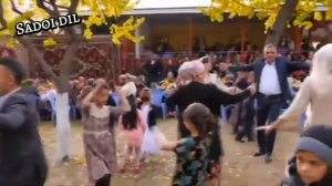 #Шухрати Авгон #дар туйи Бободархон