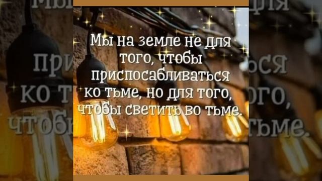 Спокойной ночи вам милые друзья !!!