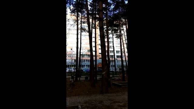 полёт на улице на квадрокоптере JJRC 1000-p смотреть онлайн