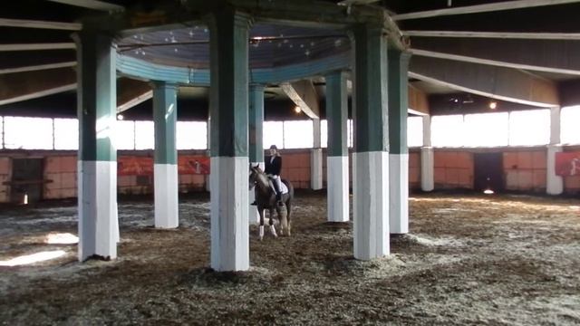 Наши с Молли первые соревнования)