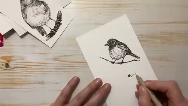 How to draw a Bird -quickie sketch смотреть онлайн