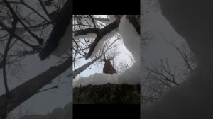 Энергия ЦИ  Исцеление божественной Любовью часть 3