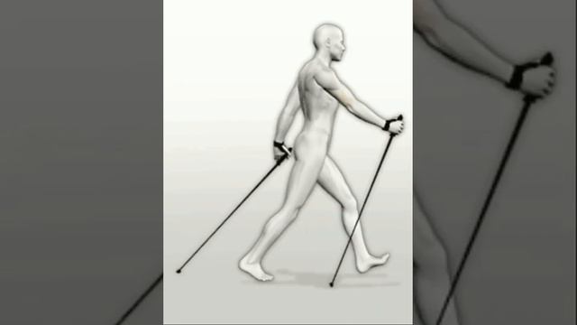 Правильный шаг при скандинавской ходьбе смотреть онлайн