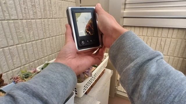 新型チェキで植物撮って遊んでみた【instax mini Evo】 смотреть онлайн