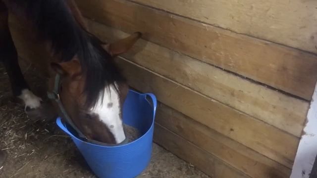 СПАСАЕМ ЖИВОТНЫХ ОТ ЖАРЫ. БАТЯ ПРОСИТ ЕГО ПОЛИТЬ. ПОЧЕМУ КУР ДЕРЖАТЬ ВЫГОДНО. ЖИЗНЬ ПРОСТЫХ ЛЮДЕЙ смотреть онлайн