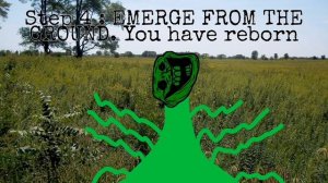 TROLLGE : NATURE'S CORRUPTION INCIDENT