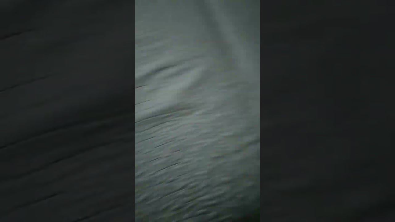 2 коробки техника и тому подобное... #shorts смотреть онлайн