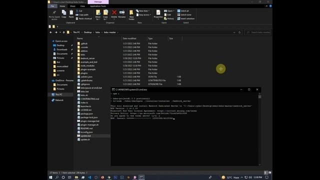 How To Install Bdsx [mcpe Server Pc Hosting] Mcpe/mcbe