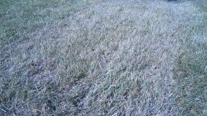 Грабли для уборки Fiskars