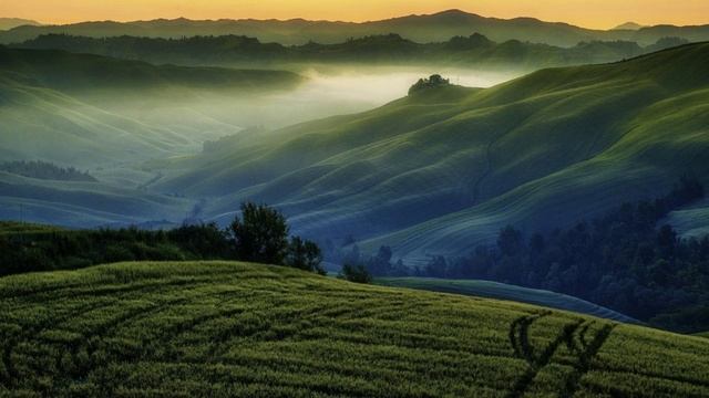 АЛЁША Муз Э.Колмановского,ст К.Ваншенкина,исп .Г.Погорельская смотреть онлайн