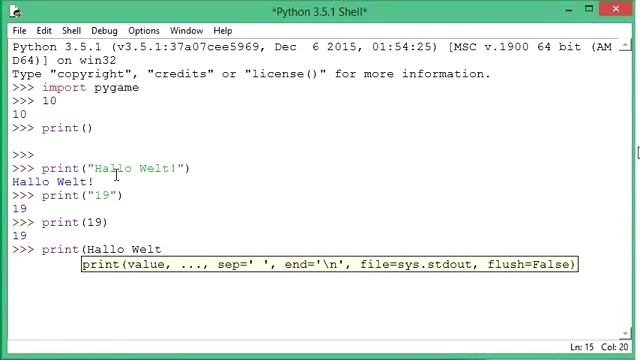 Programmieren für Anfänger - Python Programmieren2018 #5 смотреть онлайн