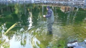 Чищу пруд донными граблями. Тестирую приспособление для чистки пруда.