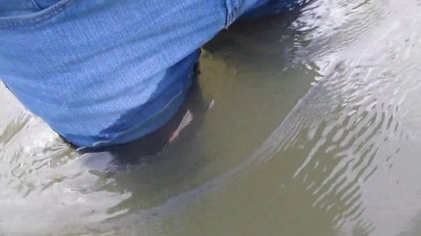 Waders in deep water