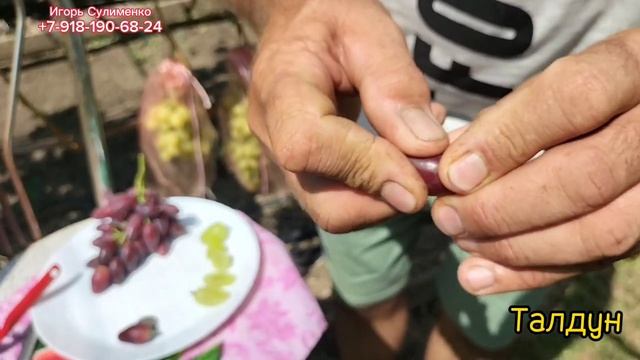 Талдун, Удачный Крайнова, Вернисаж(Калугина).