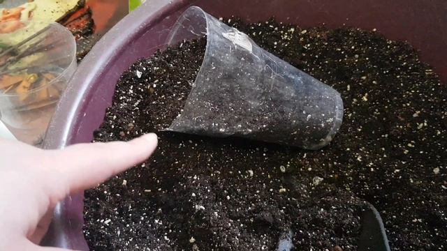 Все! Не долго музыка лентяя играла. Началось! смотреть онлайн