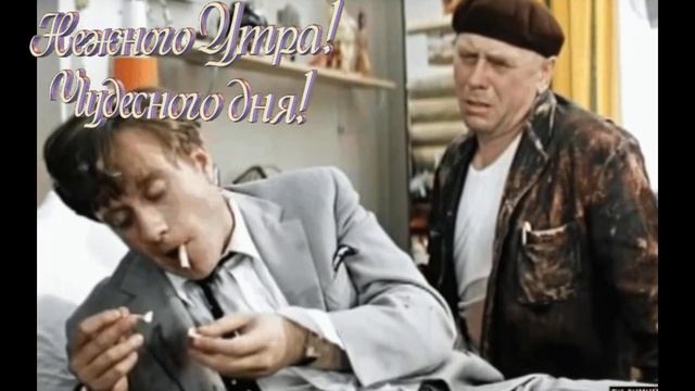 Привет от шефа! Нежного утра, доброго дня!💕 смотреть онлайн