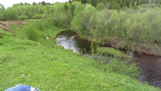 Ветью смотреть онлайн