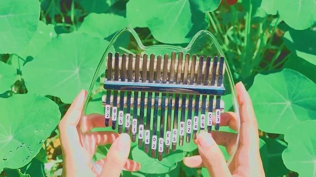 【1 HOUR】 Studio Ghibli Kalimba Music Collection For Sleeping, Studying, Relaxing