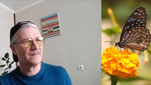 Всё Клёво! - Be Happy смотреть онлайн