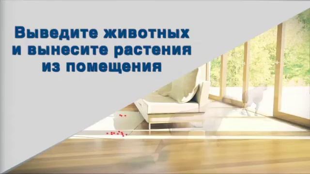 Парастоп аэрозоль. Применение. смотреть онлайн