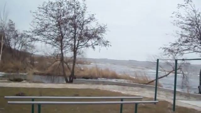 Дача Свиденко смотреть онлайн