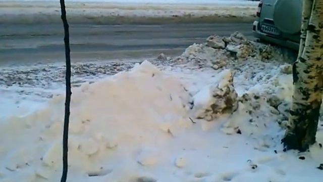 2015 02 15 14 22 Аллея вдоль дороги Хлобыстова 28. Порча деревьев смотреть онлайн