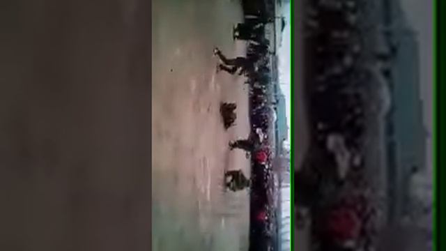 Шербачахои Пушкок смотреть онлайн