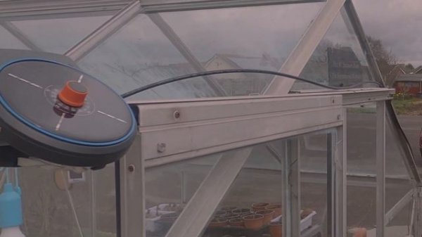 Grow your own Food | Seedlings