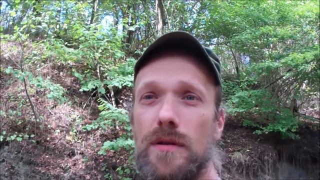 Стихотворение "Нечего Делать" - история написания (послесловие) смотреть онлайн