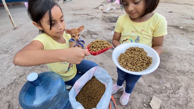 ALIMENTAMOS A LOS PERRITOS DE LA CALLE | Las Leoncitas Kids