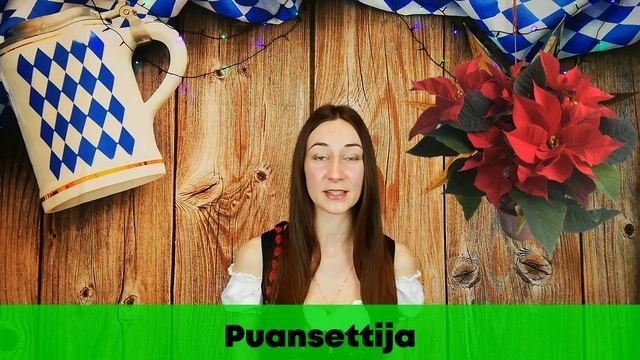 Рождество в  Германии. Weihnachten. Символика и традиции.