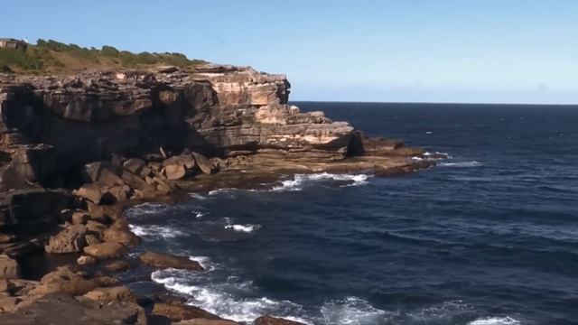 The Sydney Shark Attack | The Most Infamous Shark Attack of Recent Times смотреть онлайн