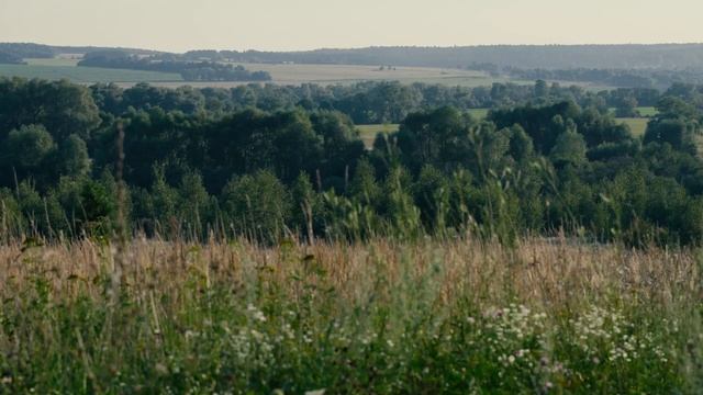 Долина реки Протвы у деревни Величково (Valley of the r.Protva near the Velichkovo, Kaluga, Russia. смотреть онлайн