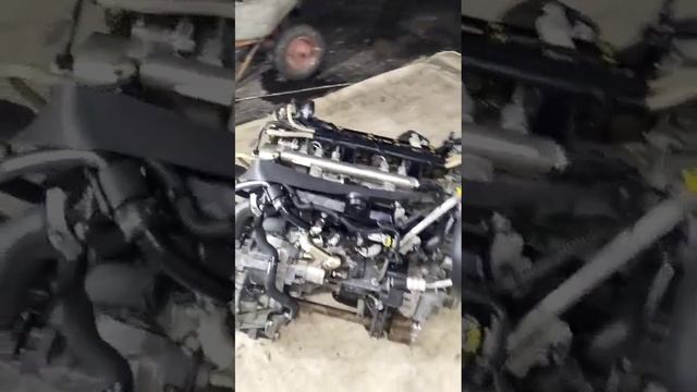 Контрактный Двигатель 199A2000 1.3 JTD Fiat Doblo в наличие из Испании смотреть онлайн