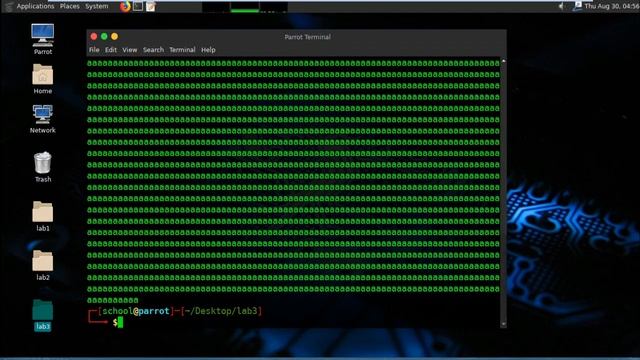 CYBER SECURITY 3 Find a Range of OverFlow смотреть онлайн