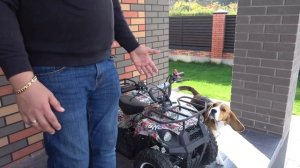 ШЕРЛОК НАУЧИЛСЯ ЕЗДИТЬ НА КВАДРОЦИКЛЕ. БРОС ШОУ ПЕТ