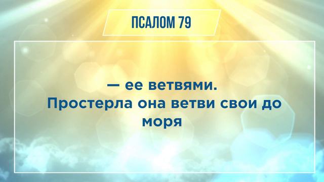 ПСАЛОМ глава 79 | Чтение Библии | Библия в современном переводе смотреть онлайн