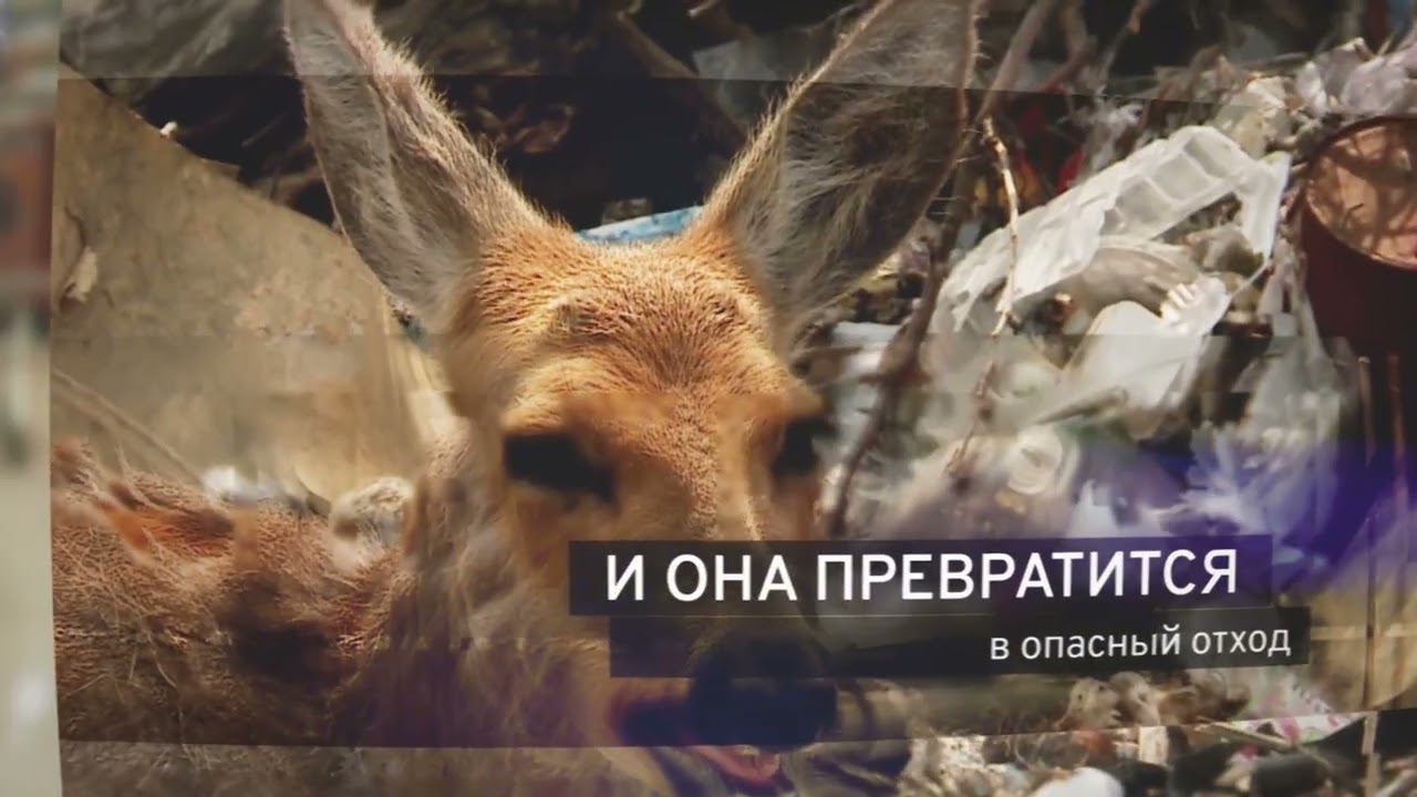 Бесконечный цикл: жизнь пластиковой бутылки смотреть онлайн