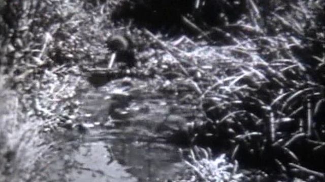 ПОЗНАВАТЕЛЬНЫЙ РЕТРО КАНАЛ