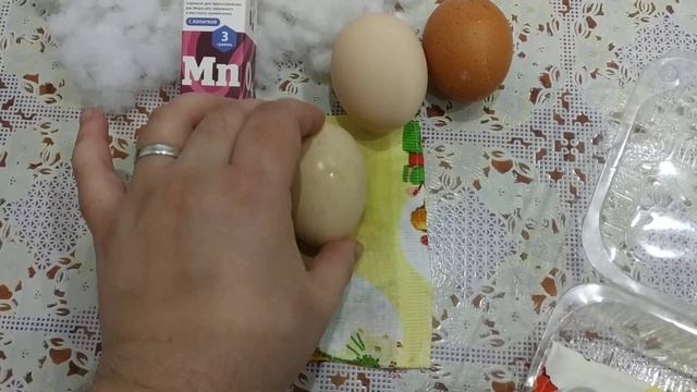 Инкубация куриных яиц на квартирной батареи. Закладка яиц 04.02.2020 смотреть онлайн