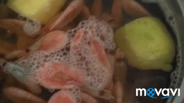 креветки рецепт смотреть онлайн