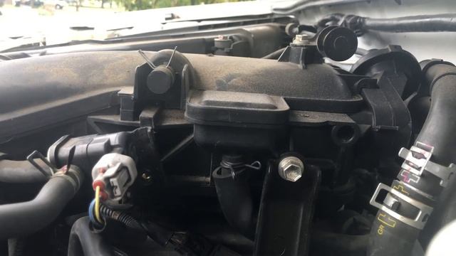 Getting rid of Toyota Tacoma Tick смотреть онлайн