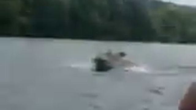 Плыву на катере. смотреть онлайн