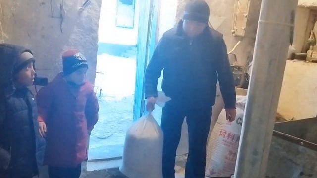 Ш.Бейшеналиев атындагы инновациялык орто мектеби. 3-б класс. Окуйбуз, жазайбыз, изилдейбиз. смотреть онлайн