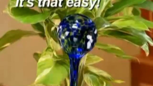 Aqua Globes Infomercial смотреть онлайн
