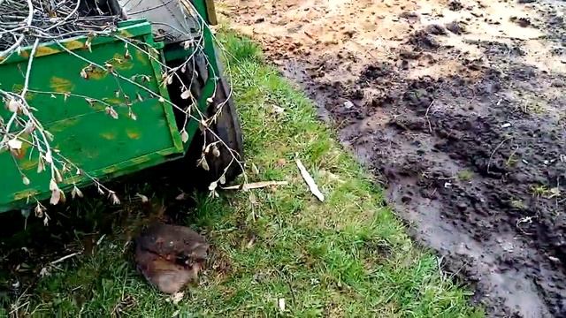 Переделал колёса на прицеп, вместо вазовских будут от сельхозмашин! смотреть онлайн