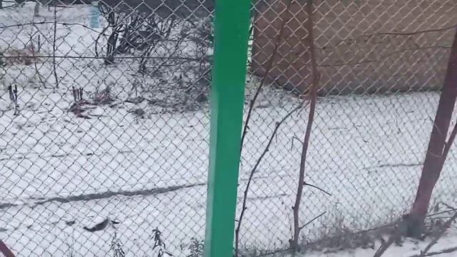 Стойка для малины из профильной трубы на краб системе, плюс агрошпалера. смотреть онлайн